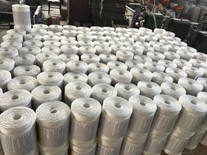 5kgs 2% UV Polypropylene Nhựa Đóng Gói Baler Sợi Xe Ống Cà Chua Sợi Xe - Product Image 3