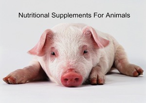 Produits cosmétiques pour animaux de compagnie, offre spéciale, nourriture pour volaille, vitamine E 50% - Product Image 5