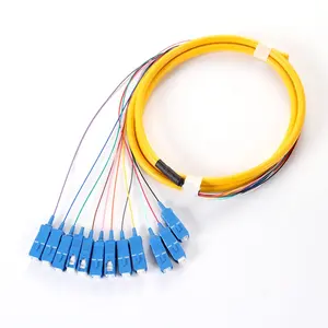 2 meter SC UPC/APC 12 core fiber optical pigtail 12 color fiber cores MM 50/125 0.9mm fiber optic pigtail multimode