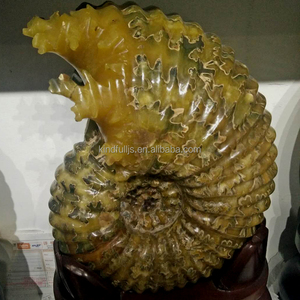 Fossile di Ammonite a Forma di Vite in Corno Naturale Decorativo all'Ingrosso - Product Image 2