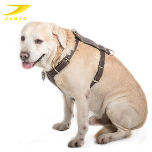 Potongan harga fashion unik kualitas tinggi kulit asli tali kekang anjing peliharaan - Product Image 3
