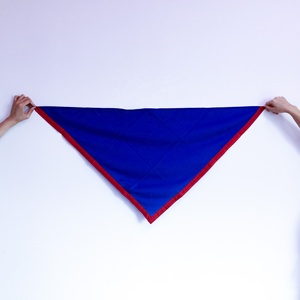 ผ้าพันคอสกู๊ตแบบสั่งทำราคาถูกสำหรับเด็กชายและเด็กหญิง - Product Image 6