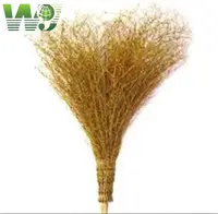WY T-001 grass bamboo broom