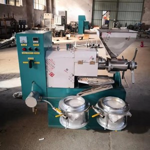 <span class=keywords><strong>Pressa</strong></span> per Olio di Girasole con Capacità 40~60kg/h, Impianto di Macinazione per Olio Commestibile in Vendita - Product Image 2
