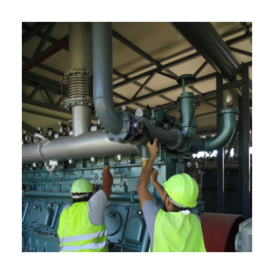 מתקדם ביומסה כוח צמח 20KW כדי 20MW - Product Image 6