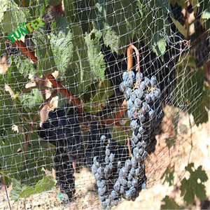 Cherry bao gồm Net chim rào cản lưới, chất lượng tốt chim nhựa Net bền nóng ánh nắng mặt trời, đá thắt nút vuông lưới chim lưới - Product Image 6