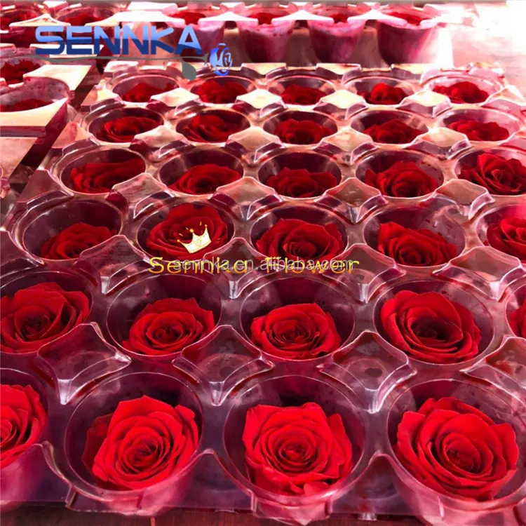 2023 Cheapest Eternal Roses With Gift Box Preserved Roses For Christmas Day valentine gifts