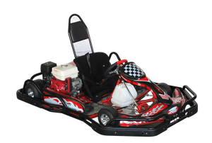 Mô hình mới dành cho người lớn đi karting 270cc 9HP động cơ xăng Racing Go Kart off road Go Kart cho người lớn - Product Image 6