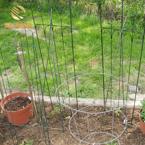 <span class=keywords><strong>54</strong></span> "x 16" Résistante de Fil Soudé Jardin Cage à Tomates - Product Image 2