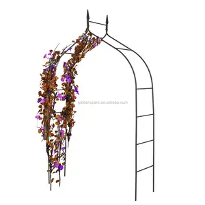 带金属框架的花园拱门，玫瑰藤蔓攀登植物的装饰架，高天井乔木用于走道、小径、草坪、后院