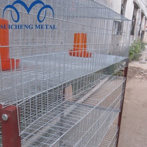 Cage <span class=keywords><strong>à</strong></span> poussins de type H de Guangzhou, petite cage <span class=keywords><strong>à</strong></span> poulets, cage pour 300 poulets - Product Image 3