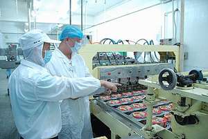 Services d'<span class=keywords><strong>inspection</strong></span> et de contrôle de la qualité avec détection des défauts Audits d'usine d'origine chinoise-CCIC-Marque Fj - Product Image 6