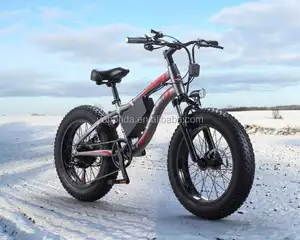 2018 चीन कारखाने सस्ती कीमत पहाड़ ई-बाइक हाइब्रिड बाइक 20 इंच वसा टायर बर्फ इलेक्ट्रिक बाइक 250W 350W 500W Brushless मोटर