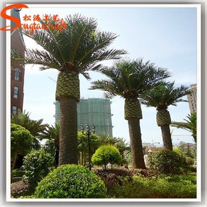 Artificial grande Artificial exterior árboles todo tipo <span class=keywords><strong>de</strong></span> datos palmera árbol decorativo palmera - Product Image 2