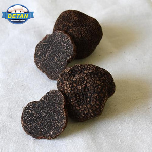 Detan <span class=keywords><strong>salvaje</strong></span> venta negro <span class=keywords><strong>trufa</strong></span> fresca - Product Image 1