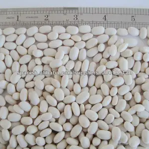 Tipo apanese frijol blanco - Product Image 1