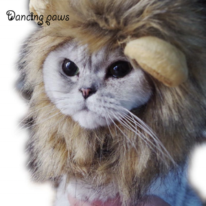 Gros <span class=keywords><strong>Chat</strong></span> Lion Panda Mickey <span class=keywords><strong>Crinière</strong></span> Perruque <span class=keywords><strong>Chat</strong></span> Costume Chapeau Cheveux <span class=keywords><strong>Chat</strong></span> Pour Animaux De Compagnie Chiot Cosplay Perruque - Product Image 3