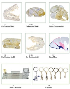 Dental historia escultura regalos de artesanía - Product Image 3