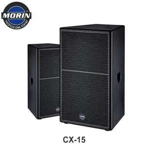 Full Range Customize Concert Waterproof DJ Powered Professional PA System Speaker CX-15