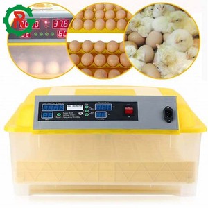 Gà nở máy ấp trứng lồng ấp trứng lahore pakistan - Product Image 1