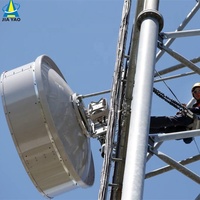 Antenne radio sans fil GSM 2G 3G 4G pour téléphone portable et Wi-Fi, mât de 2 m