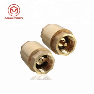 L 200WOG 1/2 ''Van Kiểm Tra Dọc Lò Xo Đồng Thau NPT Để Điều Khiển Đồng - Product Image 3