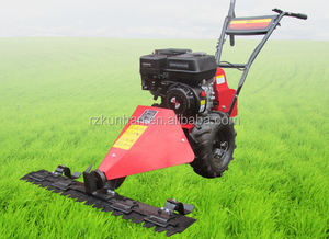 Cortadora de Césped de Gasolina Usada para Jardín de 6.5hp de Buena Calidad y en Oferta - Product Image 3