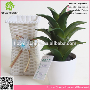 Bonita artificial <span class=keywords><strong>bonsai</strong></span> aloe para prettifing - Product Image 3