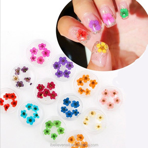 Naturale di Arte Del Chiodo di 12 Colori Decorazione di Fiori Secchi - Product Image 1