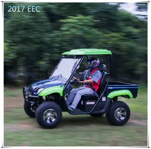 2017 hot bán điện dune buggy UTV eec xe