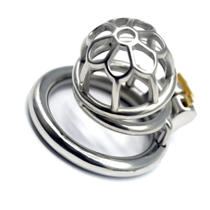 2019 FRRK01 Sex Shop 6cm <strong>Small</strong> Cock <strong>Cage</strong> with Dildo Ring <strong>Chastity</strong> Lock Stainless Steel <strong>Chastity</strong> <strong>Cage</strong> SM Toys Cock <strong>Cage</strong> for Male - Product Image 3