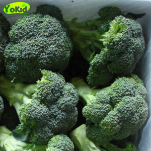 Cinese <span class=keywords><strong>Fresh</strong></span> <span class=keywords><strong>Broccoli</strong></span> Grado UN Vegetale <span class=keywords><strong>Broccoli</strong></span> In Scatola di Cartone - Product Image 1