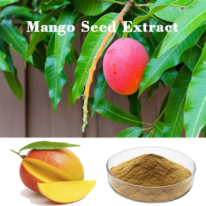 HONGDA comercio al por mayor de extracto de <span class=keywords><strong>semilla</strong></span> de Mango polvo de <span class=keywords><strong>semilla</strong></span> de Mango mangiferina - Product Image 3