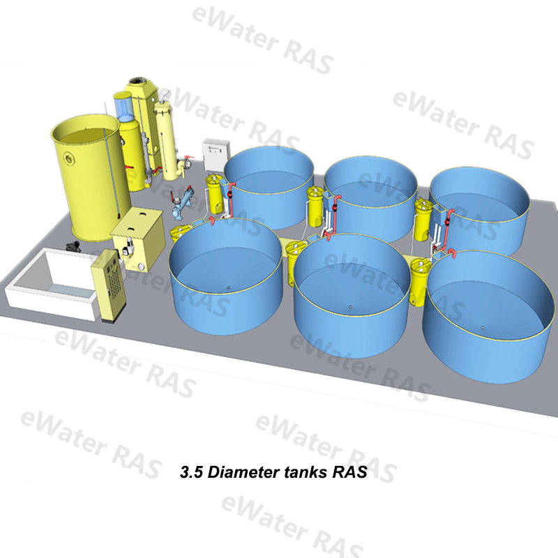Indoor RAS креветок оборудование, Aquaculture RAS систем, оборудование аквакультуры дизайн RAS для рыбной фермы оборудование