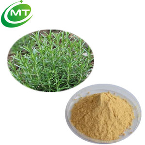 Anti-oxydation soluble dans l'huile, 20% en acide carnoïque, extrait romarin - Product Image 1
