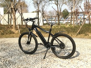 Latest <strong>250W</strong> Mountain <strong>Electric</strong> <strong>Bike</strong> with <strong>EN15194</strong>