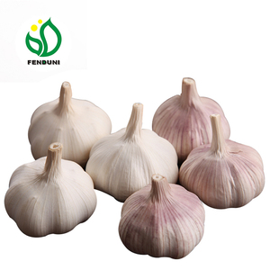 Aglio per Esportazione e Importazione (Mercato del Bangladesh e dello Sri Lanka) - Product Image 3