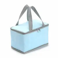 Custom Non-Woven Recycled Insulated Cooler Bag
