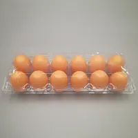 Clear Plastic Egg Tray, Egg Cartons, Medium Size, 8, 9