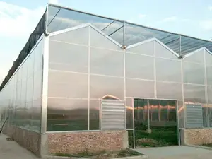 Venlo Greenhouse Commercial Green House L Venlo Polycarbonate Greenhouse With Hydroponics System Growing Tomato Manufacturer For Sale