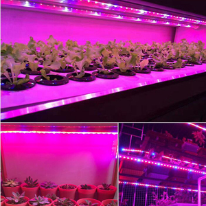 ENJO Lámparas de <span class=keywords><strong>cultivo</strong></span> y partes de las mismas rojo azul 5050 grow <span class=keywords><strong>LED</strong></span> strip Light para el crecimiento de las plantas - Product Image 3