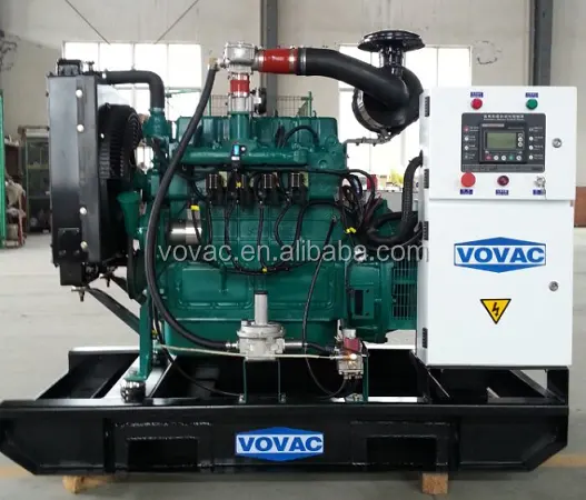 Hoge Kwaliteit 20kva-1500kva Aardgas Generator Met Concurrerende Prijs