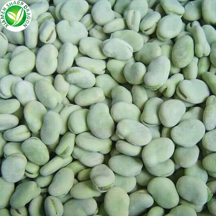 Bulk Fresh New Crop IQF Peeled Raw Green Frozen Broad Beans Australia Organic Freeze Freezing Healthy Natural Wholesale Price