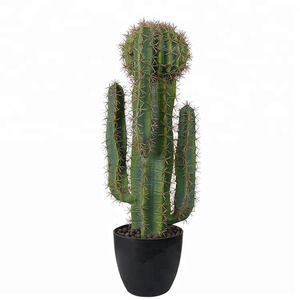 Artículo para el hogar de moda, 73cm, arte de <span class=keywords><strong>Cactus</strong></span> artesanal, pieza Ornamental de <span class=keywords><strong>Cactus</strong></span> raro - Product Image 1