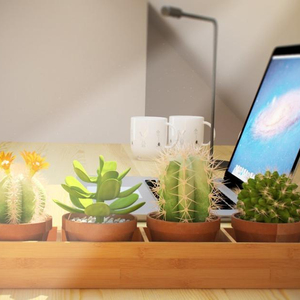 Boîte à fleurs rectangulaire en bambou pour fenêtre Plateau à quatre sections pour <span class=keywords><strong>plantes</strong></span> succulentes, herbes et fleurs pour la maison et le jardin Emballé dans un carton - Product Image 2