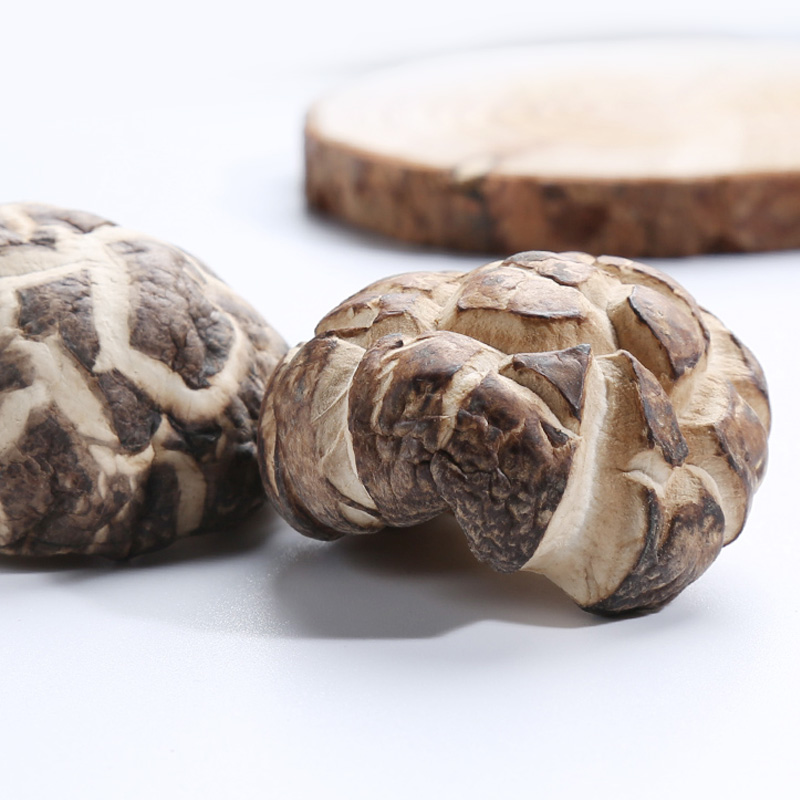 Сушеный цветок шиитаке гриб со стеблем