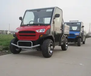 Winkelwagen goede kwaliteit rechterhand drive mini elektrische truck voor lichte met kipper