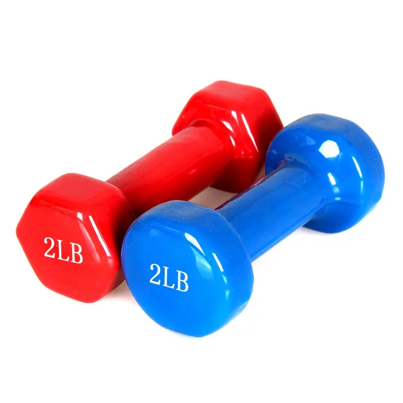 Supply Household Body Building Small Weight Dumbbell Vinyl Dumbbells for Women