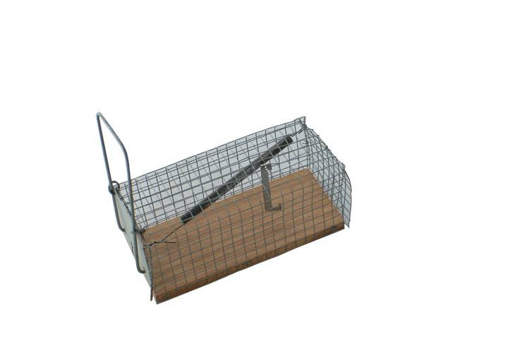 สีเทาเข้ม