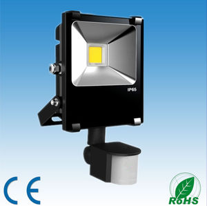 20w motion detector <span class=keywords><strong>LED</strong></span> projector - Product Image 1